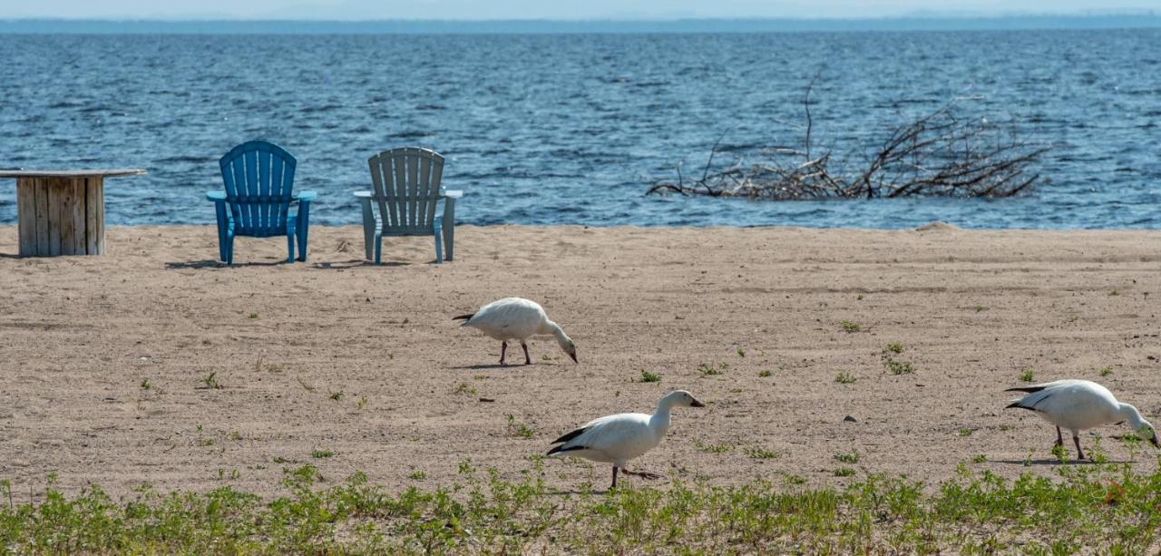 Domaine Sur Une Plage Saint-Félicien Exterior foto